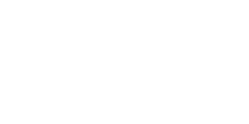 TNO